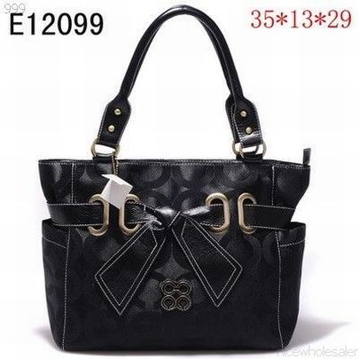 Coach handbags124